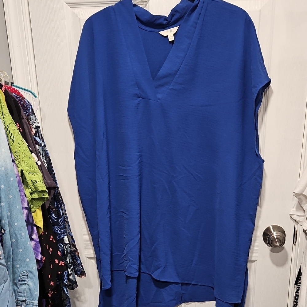 Terra & Sky Royal Blue Women's Tunic